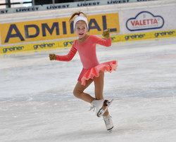 OÖ Eissporttage am 19.2.2018